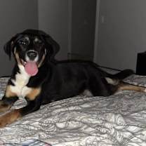 Thumbnail photo of April KA #3