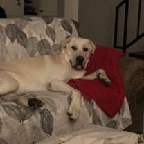 Thumbnail photo of Bailey #4