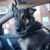 Thumbnail photo of Memaw #3