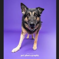 Thumbnail photo of Memaw #4