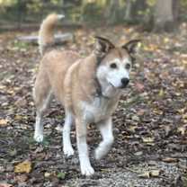 Thumbnail photo of Reya #4