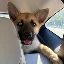 Thumbnail photo of Bar #1