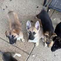 Thumbnail photo of Bar #2