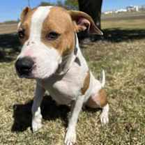 Thumbnail photo of Crackers #2