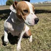 Thumbnail photo of Crackers #3