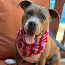 Thumbnail photo of TUESDAY #3