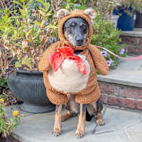 Thumbnail photo of Sweet Pea  #4