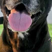 Thumbnail photo of India #2