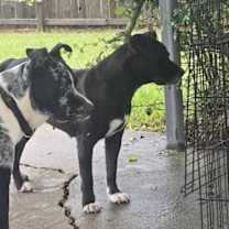 Thumbnail photo of India #3