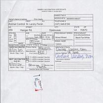 Thumbnail photo of Celeste #3