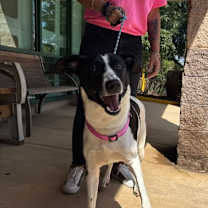 Thumbnail photo of Meg #3