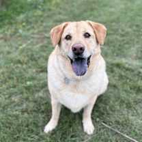 Thumbnail photo of Juji #1