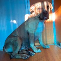 Thumbnail photo of Shelly #1