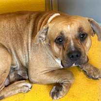 Thumbnail photo of Shelly #2