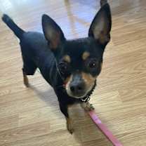 Thumbnail photo of Mia #1