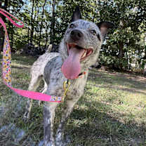 Thumbnail photo of Becca #2