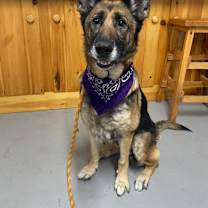 Thumbnail photo of October #1