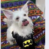 Thumbnail photo of Luck #2