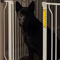 Thumbnail photo of Luna #3