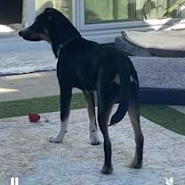 Thumbnail photo of DORY #3