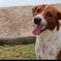 Thumbnail photo of Tania #1