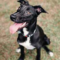 Thumbnail photo of Lucia #3