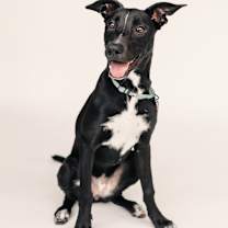 Thumbnail photo of Lucia #4