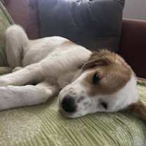 Thumbnail photo of Lynyrd Skynyrd #4