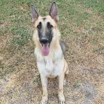 Thumbnail photo of Celle JuM #1