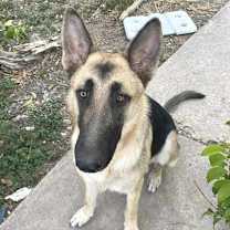 Thumbnail photo of Celle JuM #2