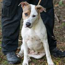 Thumbnail photo of MATILDA-30259 #2