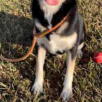 Thumbnail photo of JAXX #2