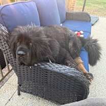 Thumbnail photo of Waylon #4