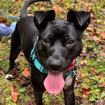 Thumbnail photo of Blizzard #3