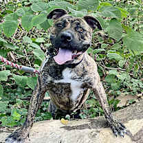 Thumbnail photo of Princess #3