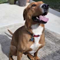 Thumbnail photo of Max #4