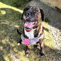 Thumbnail photo of Baby #1