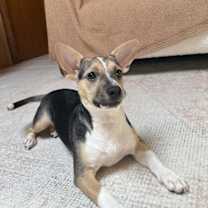 Thumbnail photo of Happy #4