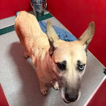 Thumbnail photo of Alana #2