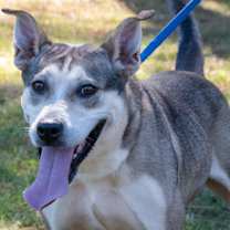 Thumbnail photo of zoe city-107 #1