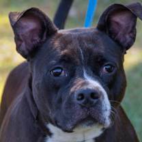 Thumbnail photo of Chloe Cnty-323 #1