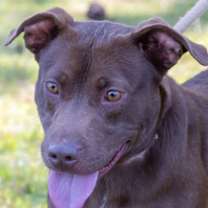 Thumbnail photo of Marlo CNTY-329 #1