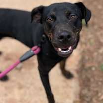 Thumbnail photo of Cardi Cnty 074 #2