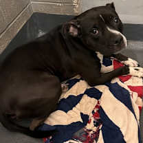 Thumbnail photo of Chloe Cnty-323 #3