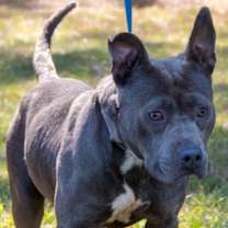 Thumbnail photo of Blake- CNTY 332 #2