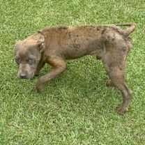 Thumbnail photo of Blake- CNTY 332 #3