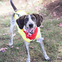 Thumbnail photo of Aphrodite #1