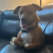 Thumbnail photo of Peanut #2