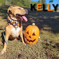 Thumbnail photo of Kelly - CCHS #1