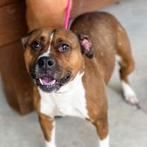 Thumbnail photo of Chelsea #1